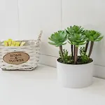 Guestready - Sweet & Relax Flat * פורטו